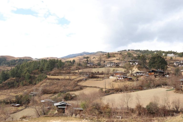 #WorldPhotographyDay #WPPhotos Bumthang Dhur, Bhutan