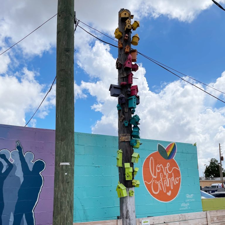 A telephone pole covered in colorful birdhouses, arranged in a rainbow design. This is in front of a wall with a colorful mural painted and an orange with the text, “Love Orlando” in it and a rainbow on one of the orange’s leavesWorldPhotographyDay22