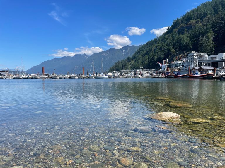 Boats docked at Horseshoe Bay, British Columbia, Canada, where the ferry takes you to Vancouver Island and up the Sunshine Coast