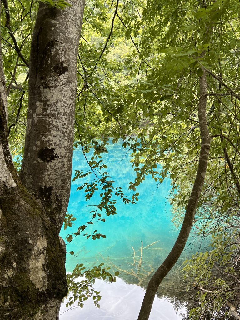 Plitvice national park, Croatia, lake