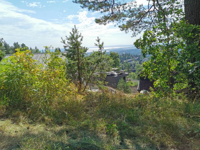 Nature, houses and water – suburb in Oslo, Norway. WorldPhotographyDay22