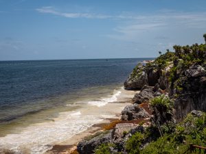 Small beach surrounded by lush green tropical plants