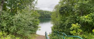 Lake path in the forest