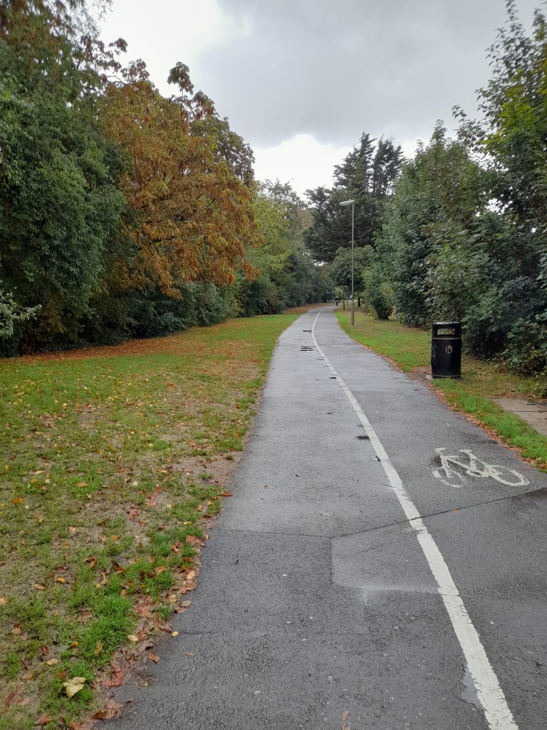 An autumn cycle track