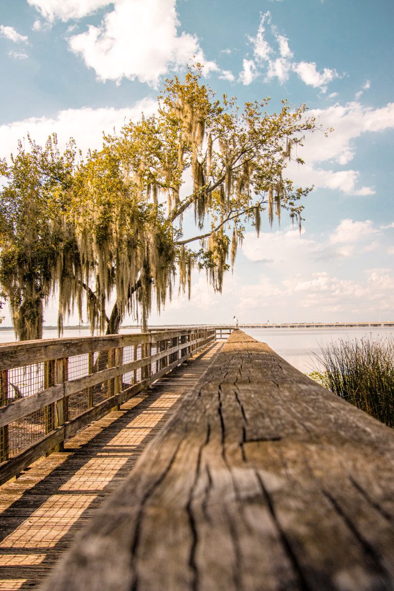 Dock leading out over Lake Jessup in Florida – WorldPhotographyDay22