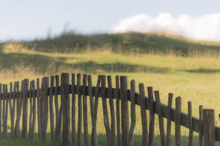 fence in a meadow