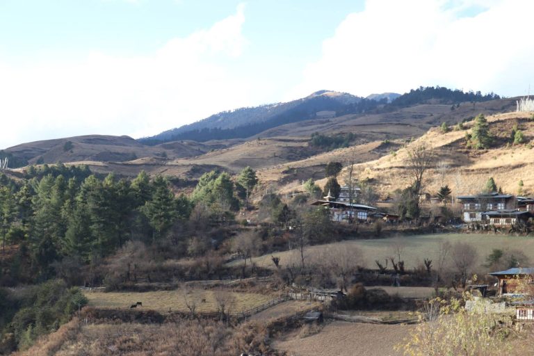 #WorldPhotographyDay #WPPhotos Bumthang, Bhutan