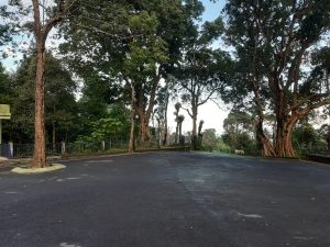 Beautiful village road
