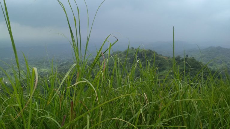 Chandranath, Chittagong, Bangladesh