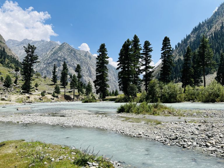 Natural view from a place near Mahodand Lake, Kalam Pakistan – WorldPhotographyDay22