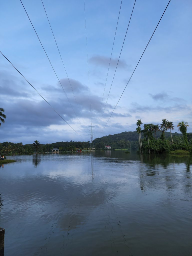 Flooded Paddy fields.