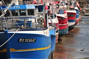 Fishing boats, at low tide, in the port of Roscoff, France