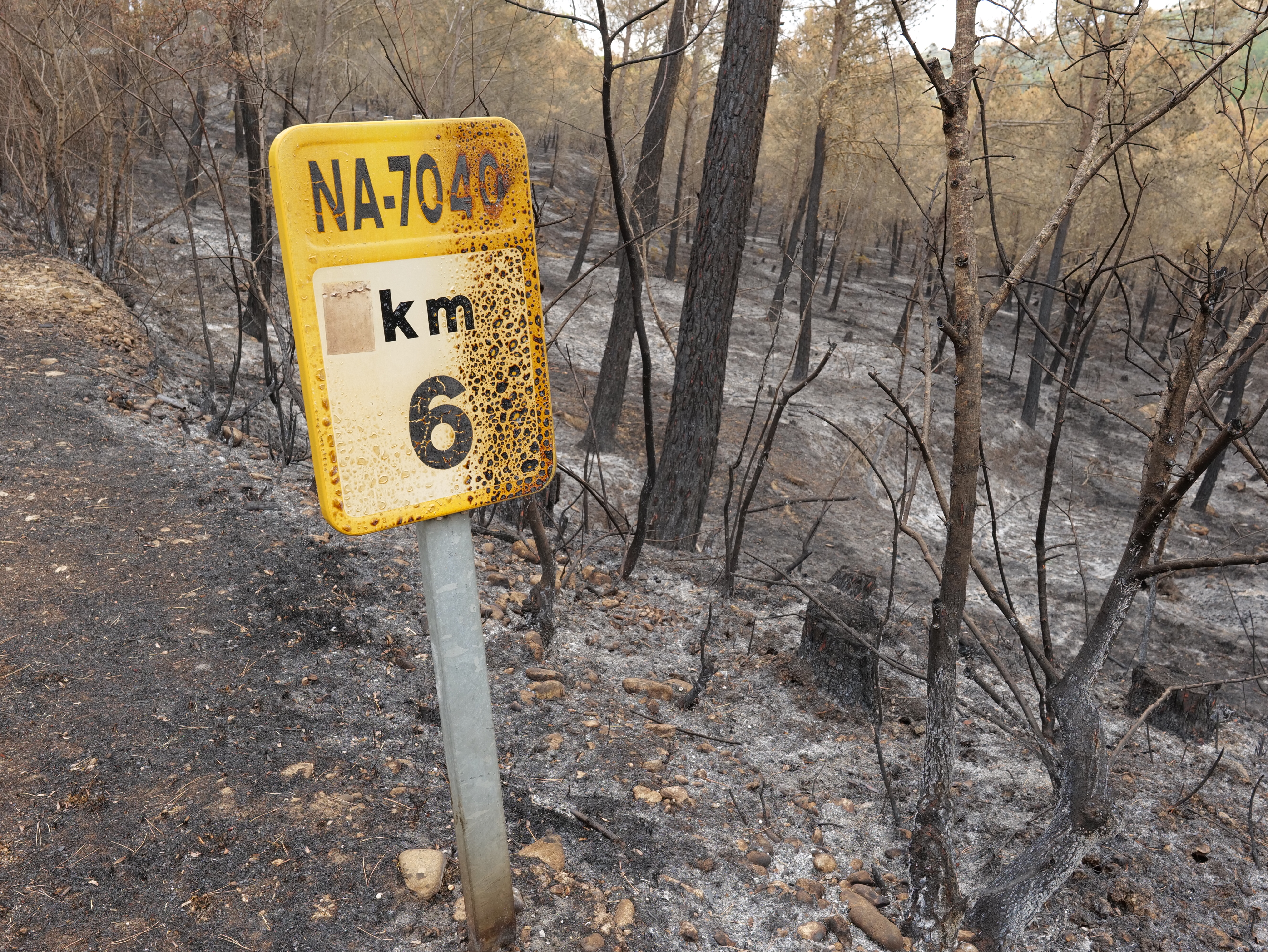 Incendio en Navarra