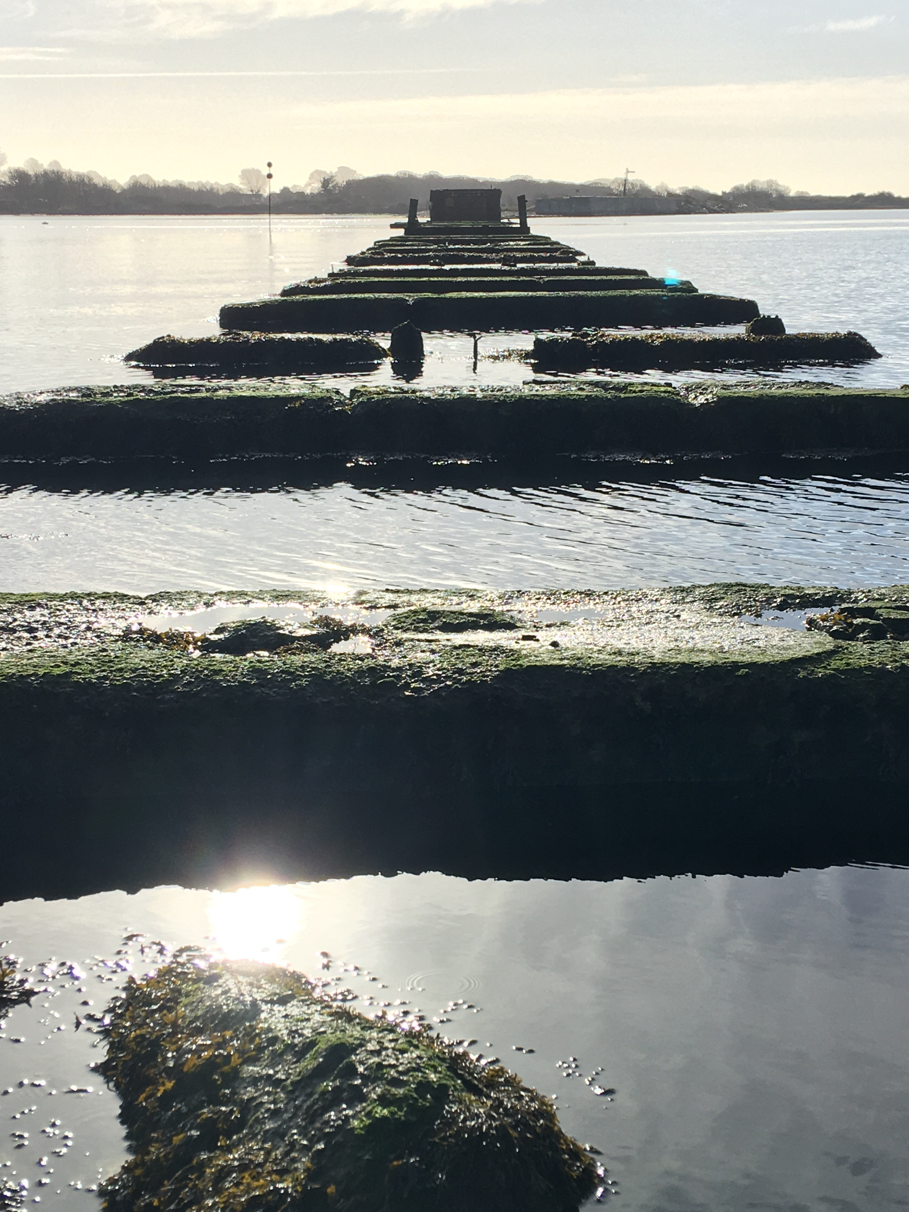 Hayling Billy Railway Bridge's supporting blocks. View from Langstone. WorldPhotographyDay22