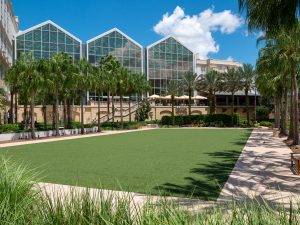 Gaylord Palms hotel with large open field in front