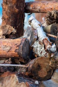 Logs