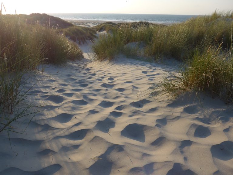 Dunes on Terschelling, Netherlands. WorldPhotographyDay22