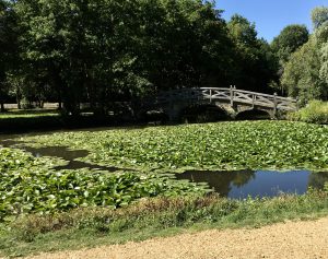 Hampshire park with wooden foot bridge and water, England

