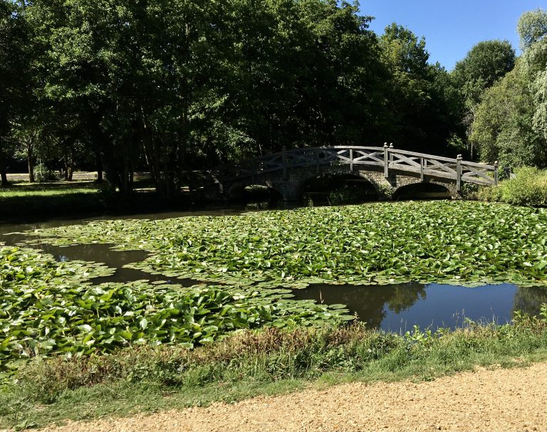 Hampshire park with wooden foot bridge and water, England