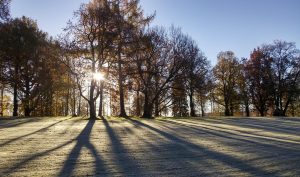 Aulanko, Hameenlinna, Finland - WorldPhotographyDay22