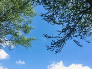 Sky View From Azimpur