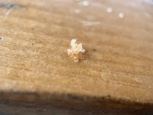 Cinnamon sugar on wood, macro