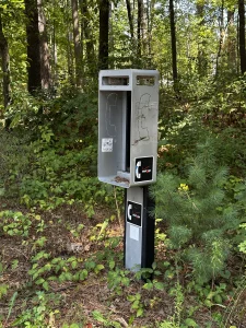 Photo Booth in the woods