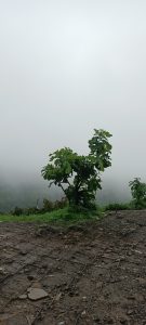  Khandala
