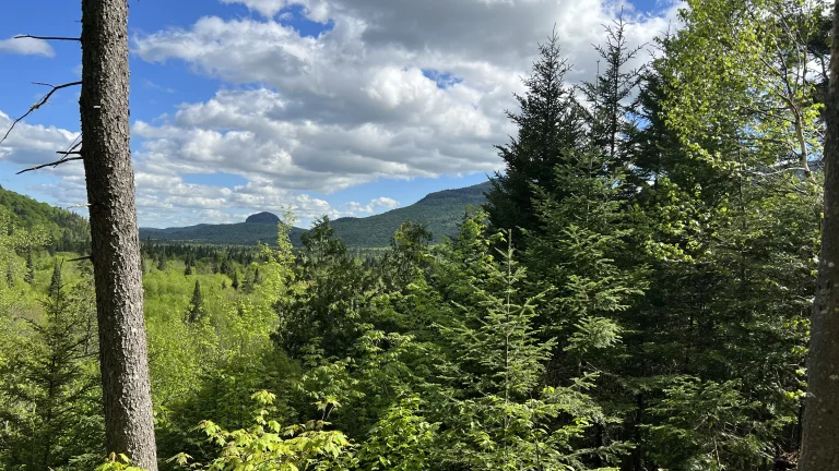 Mont-Tremblant national parc, Lac-Supérieur, Quebec