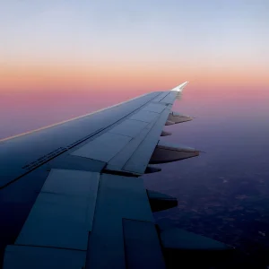 View larger photo: Sunrise on the wing