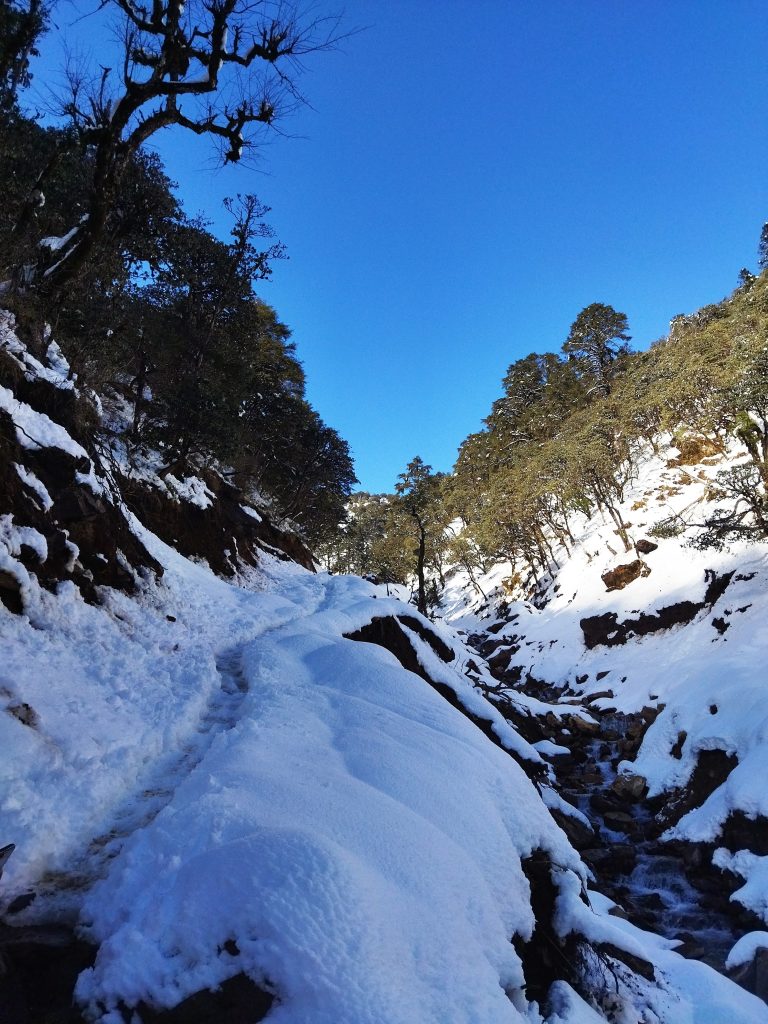 Snow covered hill