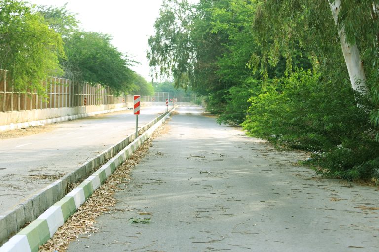 Jihad Recreational Forest Park, located in Bandar Abbas, Hormozgan, Iran