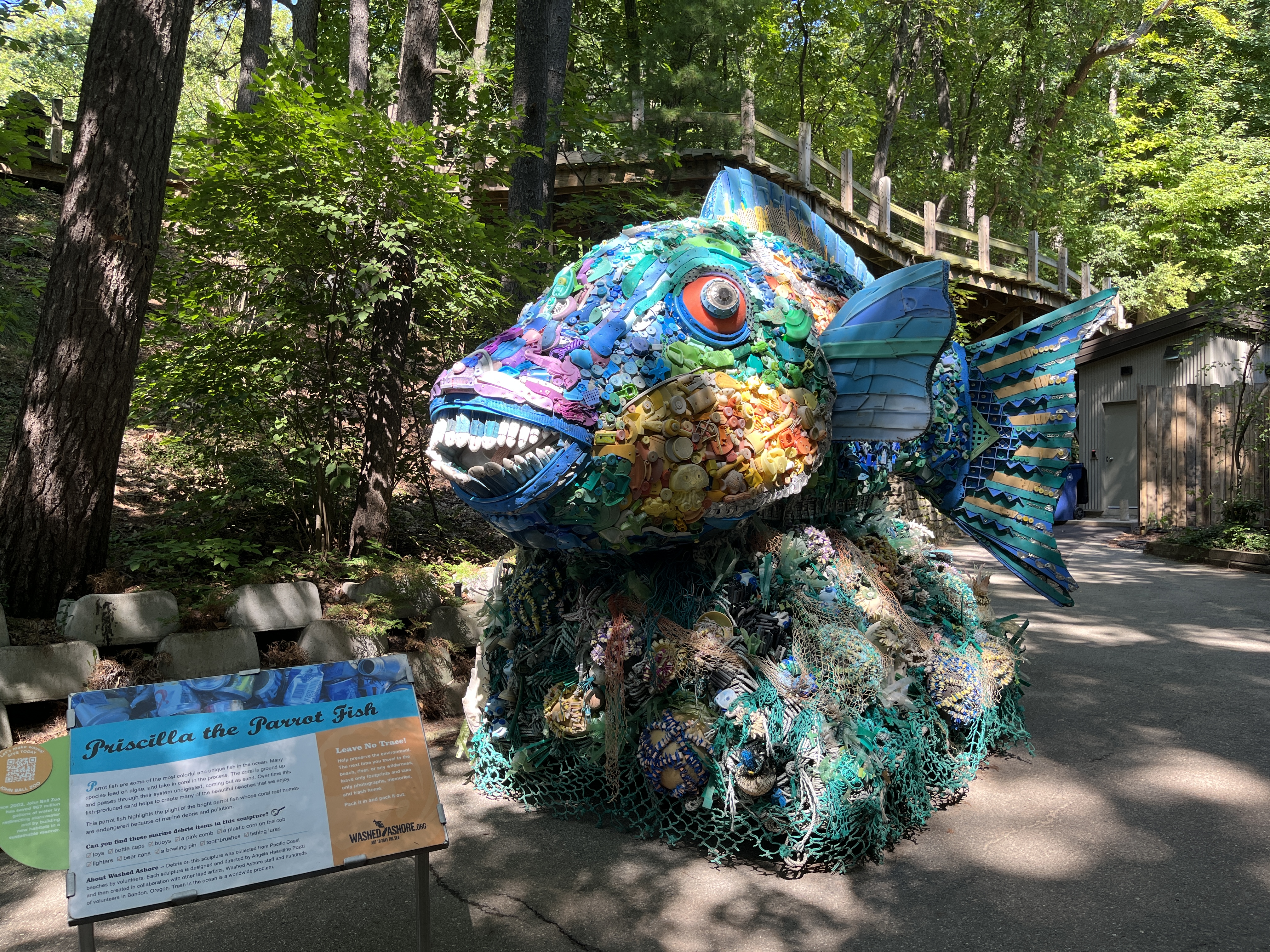 Parrot fish made of trash
