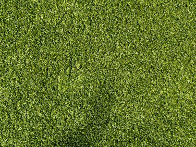 Green turf grass texture for backgrounds