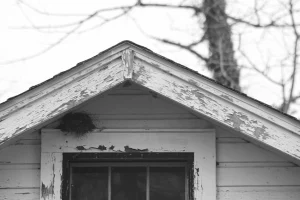 Bird's nest on a white house, Fair Haven, New York, USA