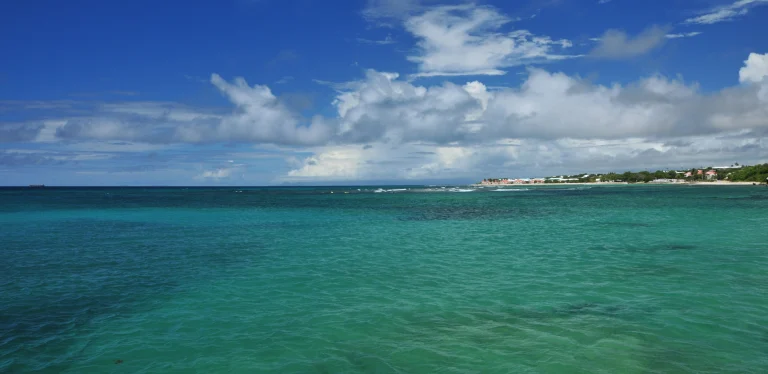 Saint-Fran?ois beach from the sea, Guadeloupe