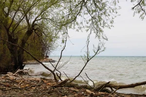 Shore of Lake Ontario, Huron, New York, USA