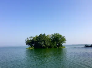 So nice view! Trees are on the water at Kaptai lack