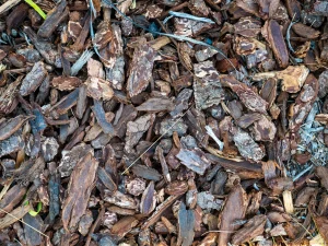 wood chips and mulch
