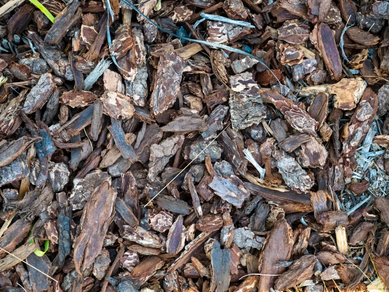 wood chips and mulch