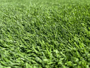 View larger photo: Closeup of astroturf grass