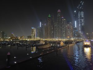 Night View of Dubai
