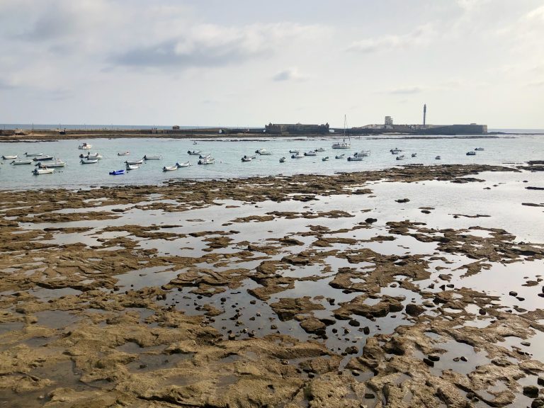 View of the coast of Cádiz, with fishing boats and the castle of San Sebastián in the background. Photo taken from the castle of Santa Catalina.