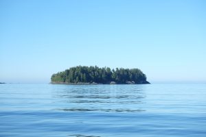 Island on Mud Lake, Blue River, Canada