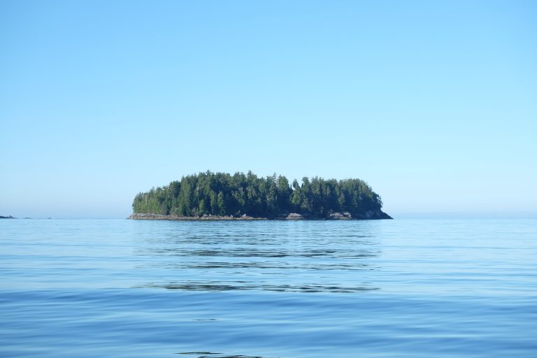 Island on Mud Lake, Blue River, Canada