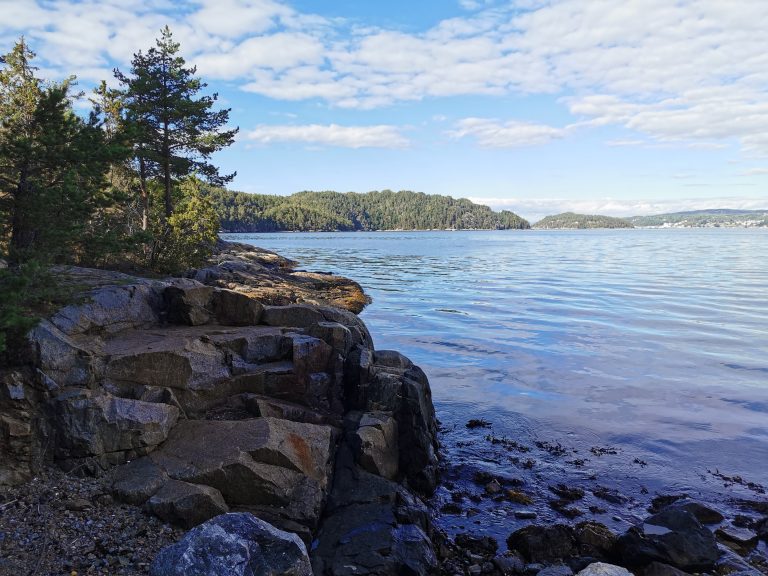 Rocks, water and trees.