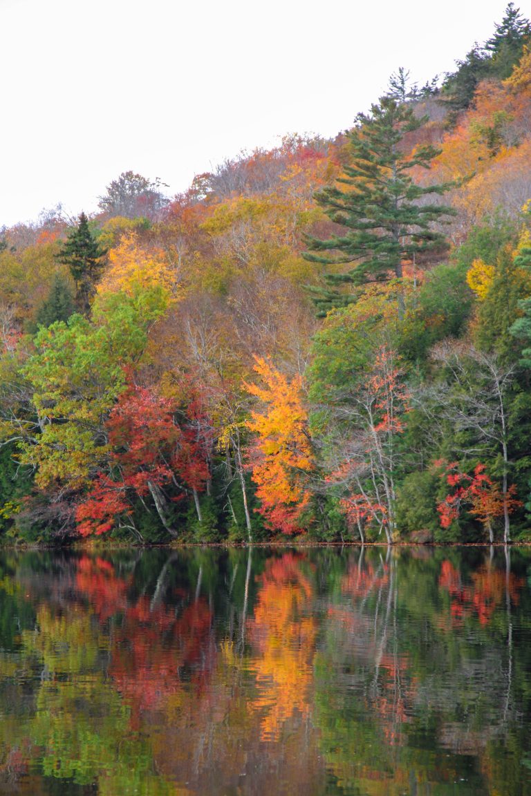 Calm river, Adirondack Mountains, New York, USA