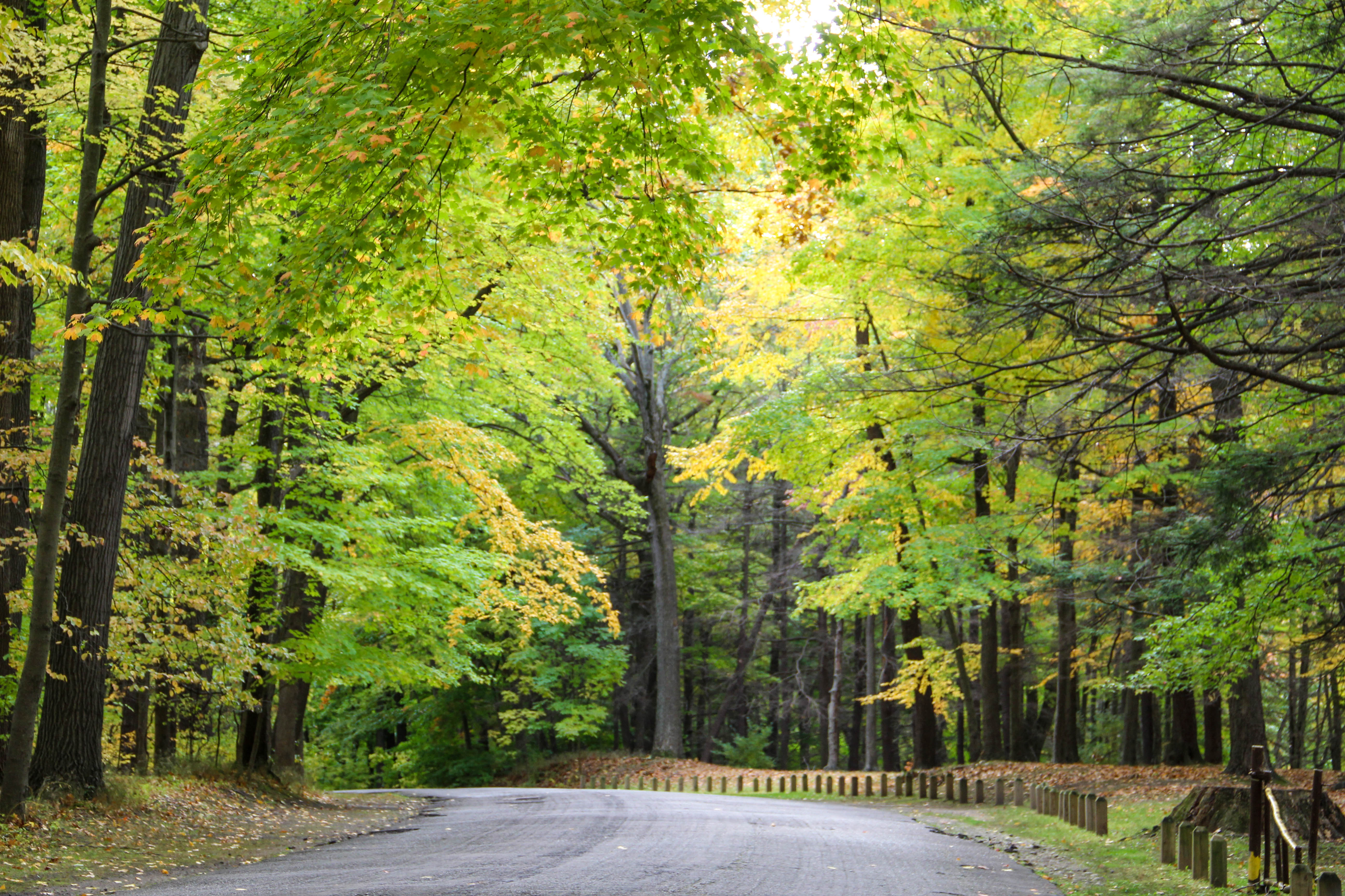 Durand Eastman Park, Rochester, New York, USA