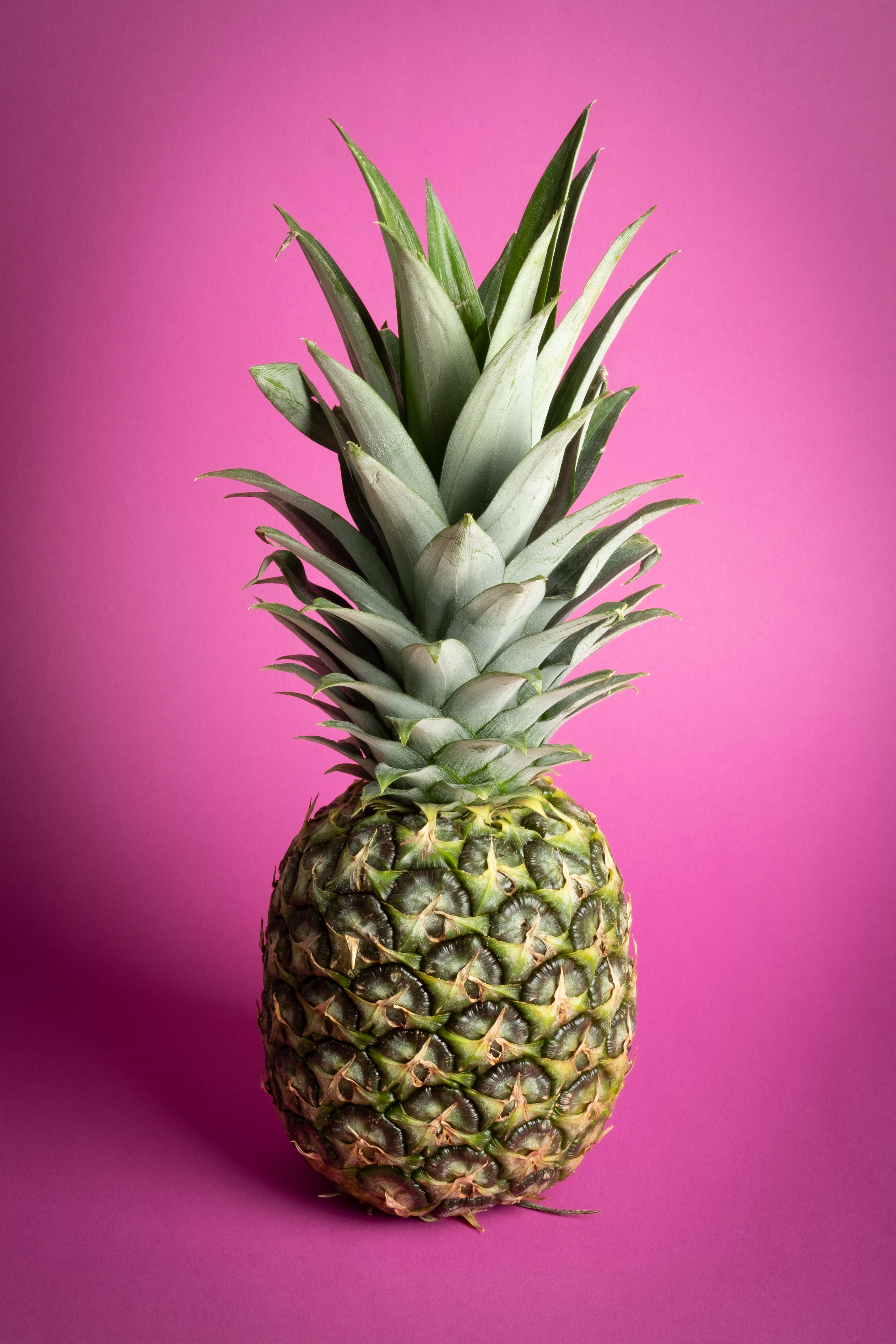 A pineapple