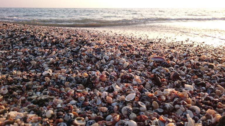 Sea beach, Saint Martin, Bangladesh